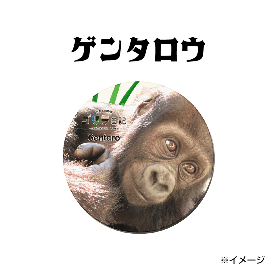 664b5a1f7041a10ca5a92230