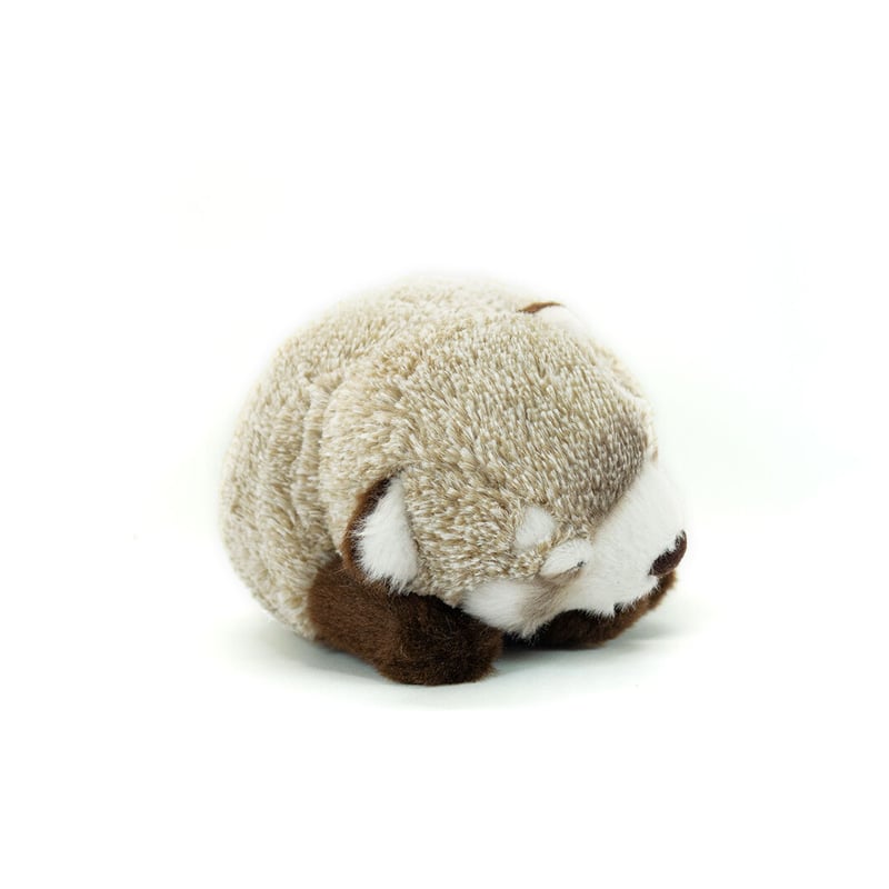 たけのこ TAKENOKO ぬいぐるみ レッサーパンダ SM 白 28110