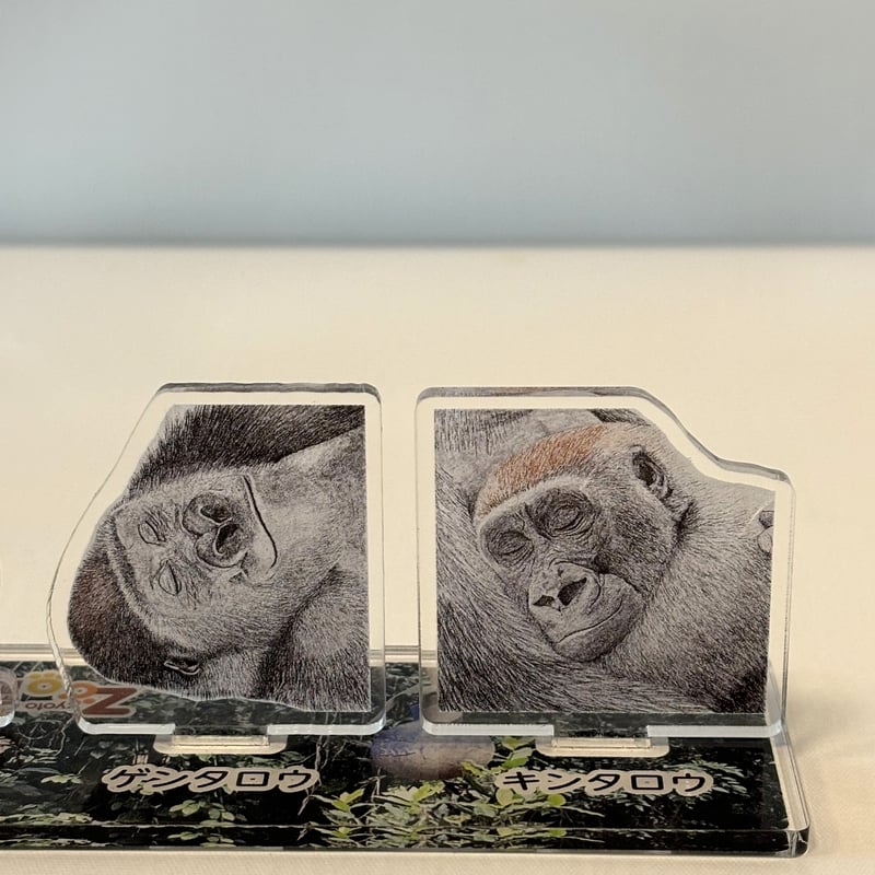 ゴリラを守ろう！2024 アクリルスタンド | 京都市動物園東エントランス