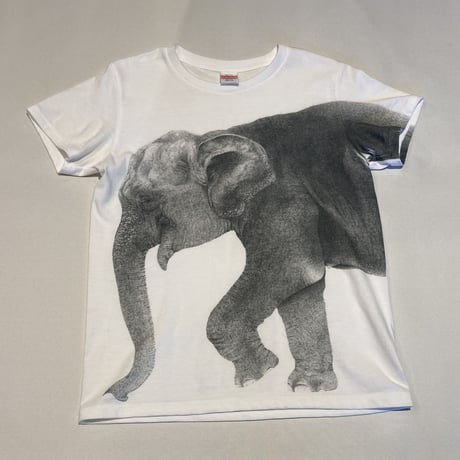 琴塚吉太朗Tシャツ　ゾウ／ライオン