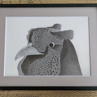 精細複製品（レプリカ）ニホンキジ