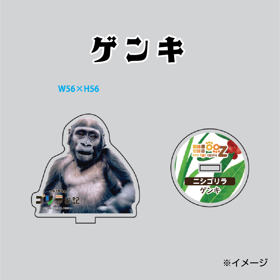 664b58c4db24c40d269c08f3