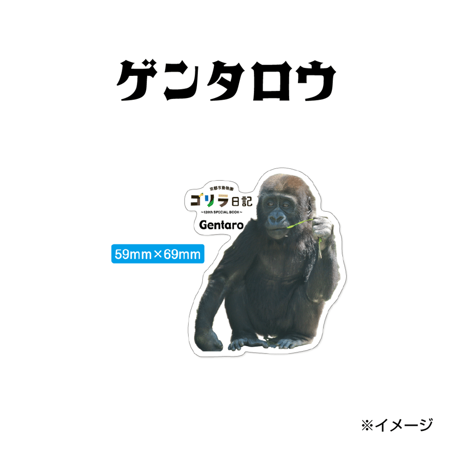 664b5b23ef91a70bb4f504ea