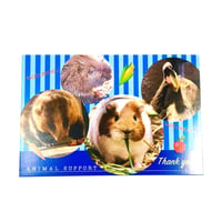動物のご飯代寄付付ポストカード