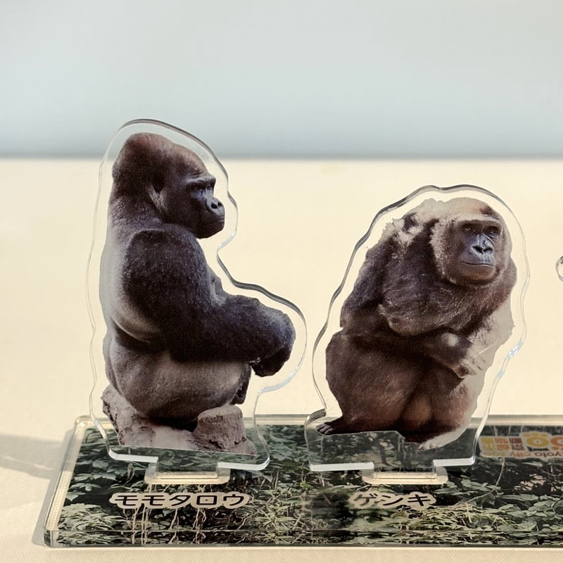 ゴリラを守ろう！2024 アクリルスタンド | 京都市動物園東エントランス