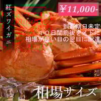 11000円均一格安ベニズワイガニ　相場サイズ