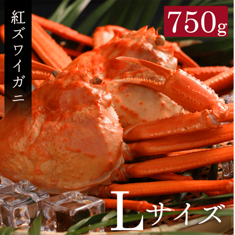 当日茹で上げ！紅ズワイガニ Lサイズ約750g