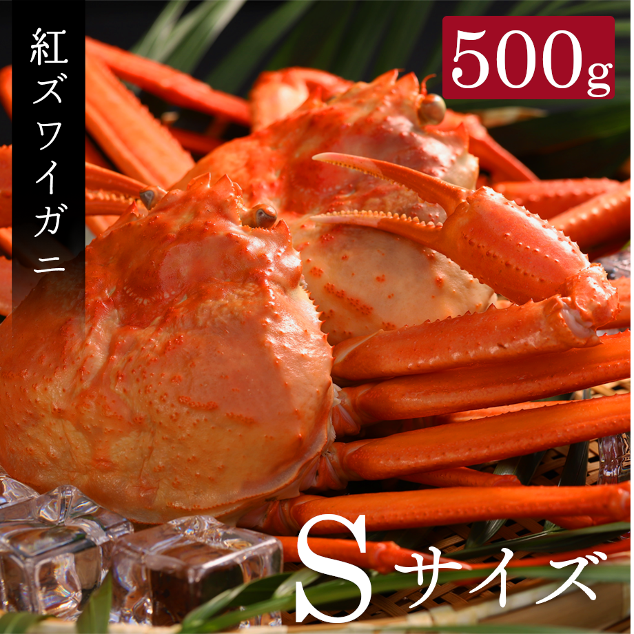 6346651a4ff8c245ee587671