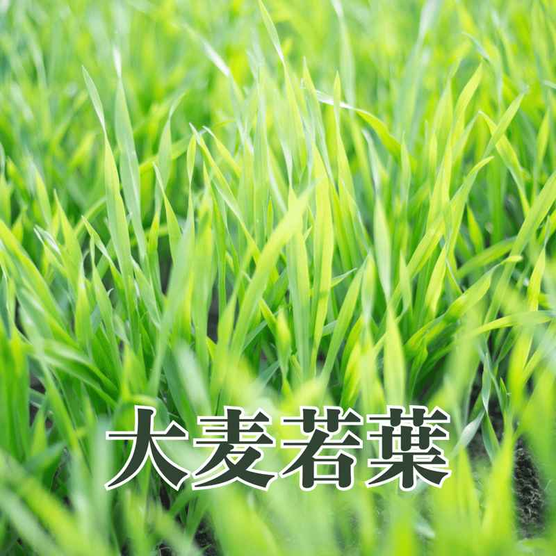 【新品】16役DDパウダー 美容液ファンデ 見た目年齢-10歳肌！ ディーディーパウダー（D.D.POWDER） - グランメディック：自然