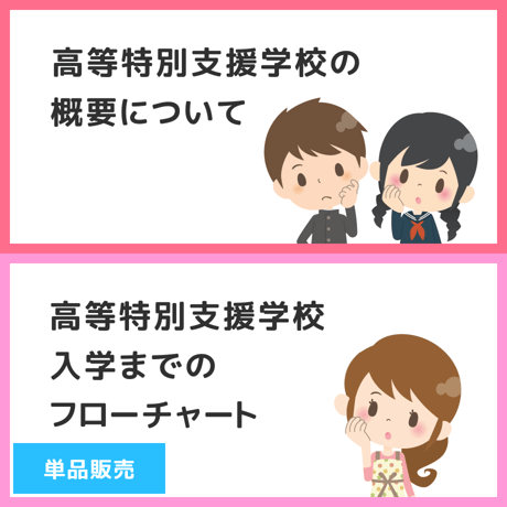 【 ダウンロード商品（高等特別支援学校のお受験対策マニュアル単品販売）】PDF書籍『高等特別支援学校　概要について / 入学までのフローチャート』