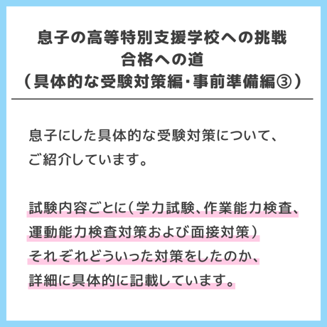 【 ダウンロード商品（高等特別支援学校のお受験対策マニュアル単品販売）】PDF書籍『息子の高等特別支援学校への挑戦　合格への道（具体的な受験対策編・事前準備編③）/（入試当日編）』