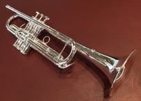 選定品】S.E.Shires(シャイアーズ) Q30YR | テナーバストロンボーン