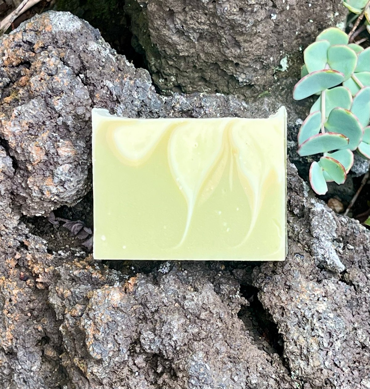 ドクダミとクレイのソープ | TiDA Soap Company