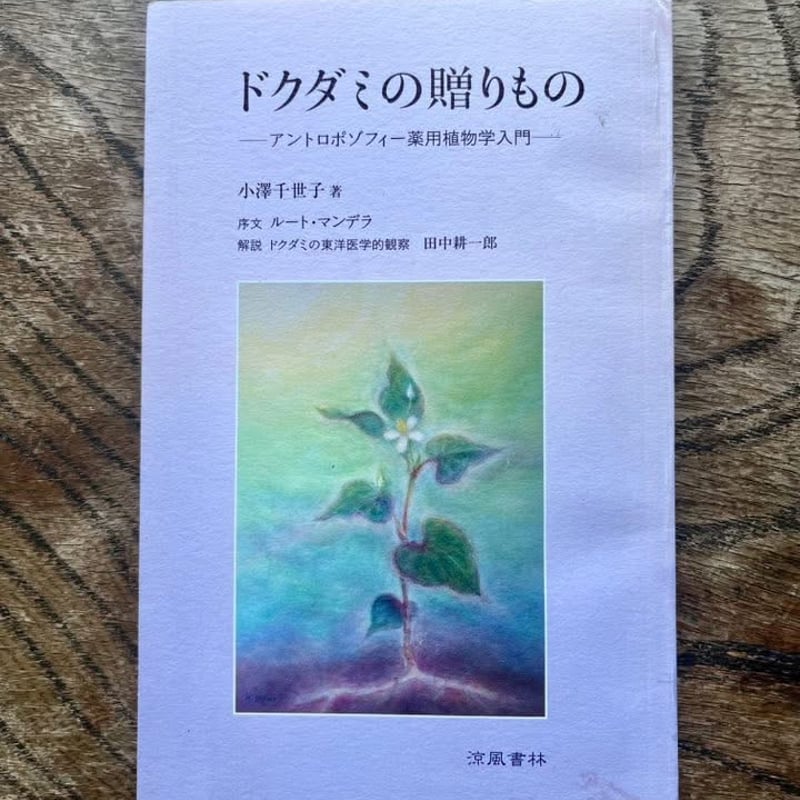 ドクダミの贈りもの　アンポロトゾフィー ドクダミとクレイのソープ | TiDA Soap Company