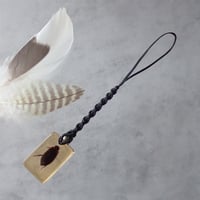 ゲンゴロウ類樹脂封入標本ストラップ