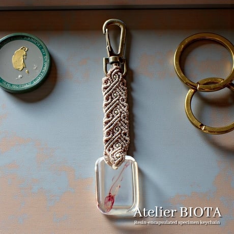魚類単色染色樹脂封入標本キーホルダー