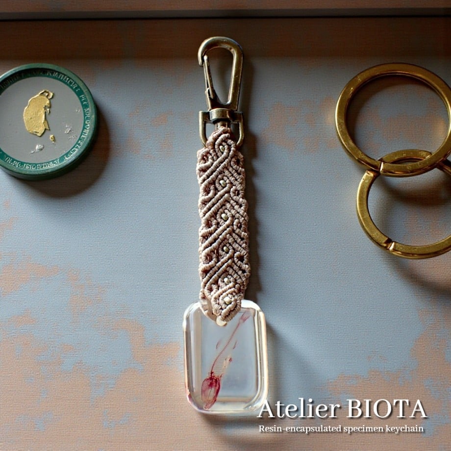 魚類単色染色樹脂封入標本キーホルダー | Atelier BIOTA
