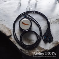 魚類樹脂封入標本ネックレス