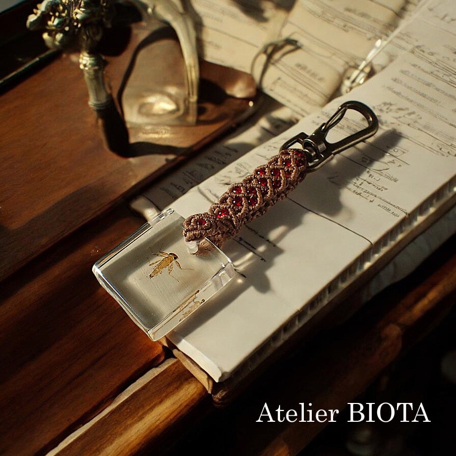 カゲプロ　カゲロウプロジェクト　レジンキーホルダー カゲロウ類樹脂封入標本キーホルダー | Atelier BIOTA