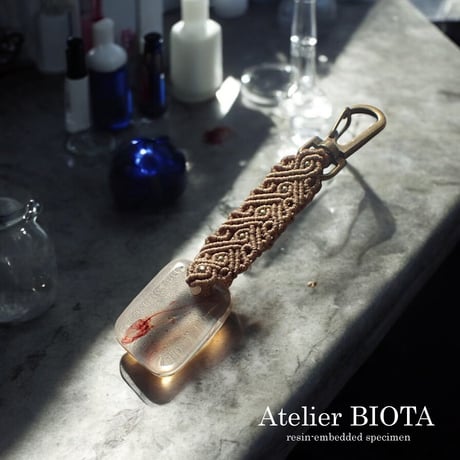 魚類単色染色樹脂封入標本キーホルダー
