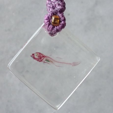 魚類単色染色樹脂封入標本ストラップ