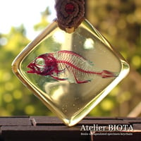 魚類単色染色樹脂封入標本キーホルダー