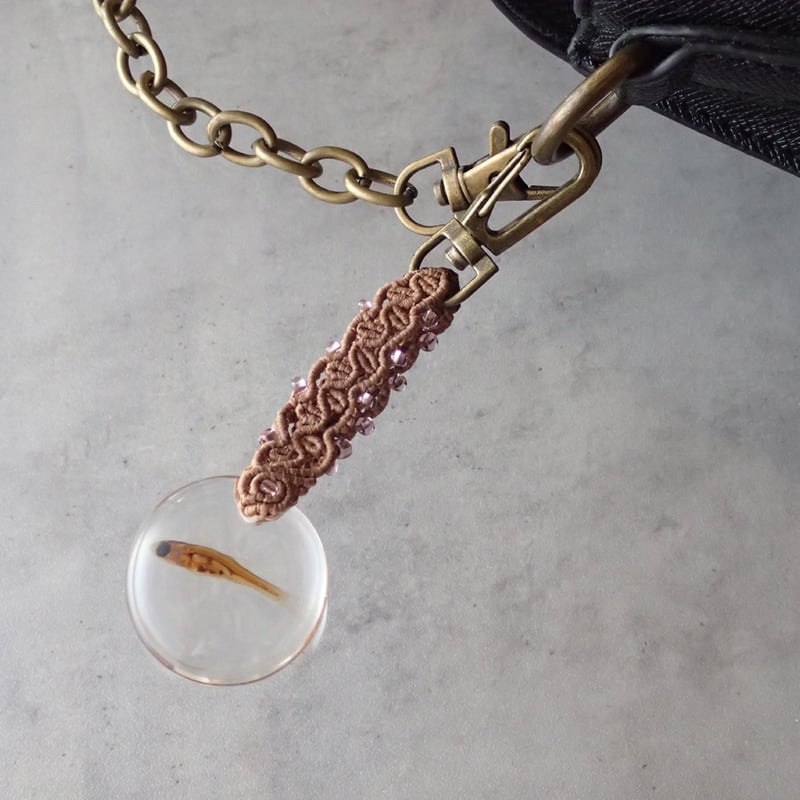 魚類樹脂封入標本キーホルダー | Atelier BIOTA