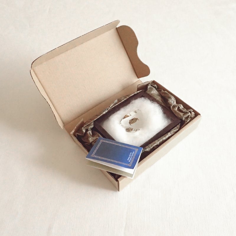 カニ類樹脂封入標本 C (木製標本箱入り) | Atelier BIOTA