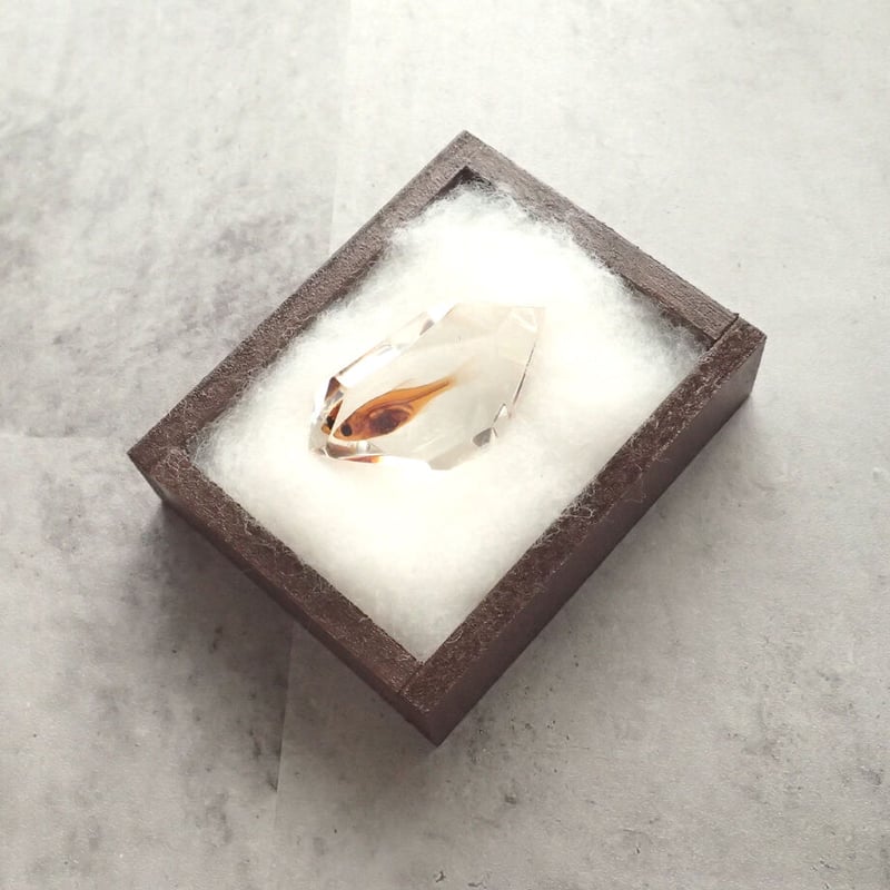 ぽ*け様 チョウザメ　レア　オブジェ　魚　 標本 　樹脂封入 ぽ*け様 チョウザメレアオブジェ魚 標本 樹脂封入