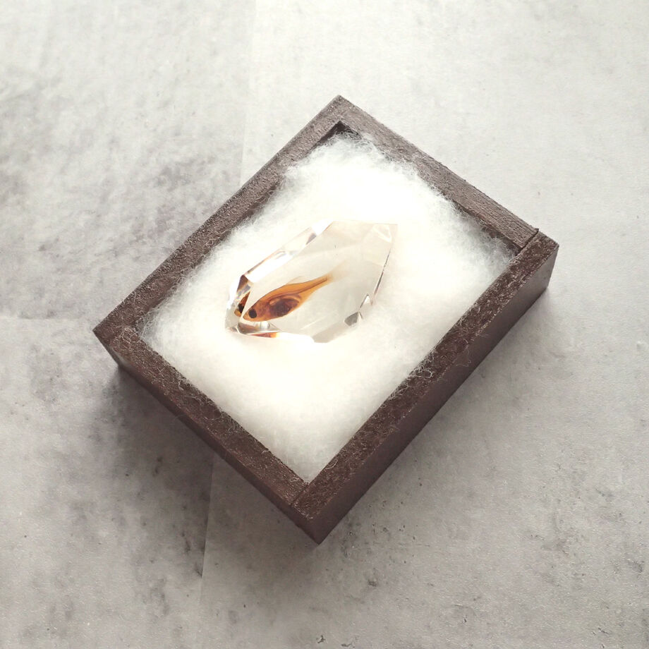 ぽ*け様 チョウザメ レア オブジェ 魚 標本 樹脂封入 ぽ*け様