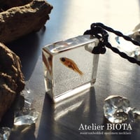 魚類樹脂封入標本ネックレス