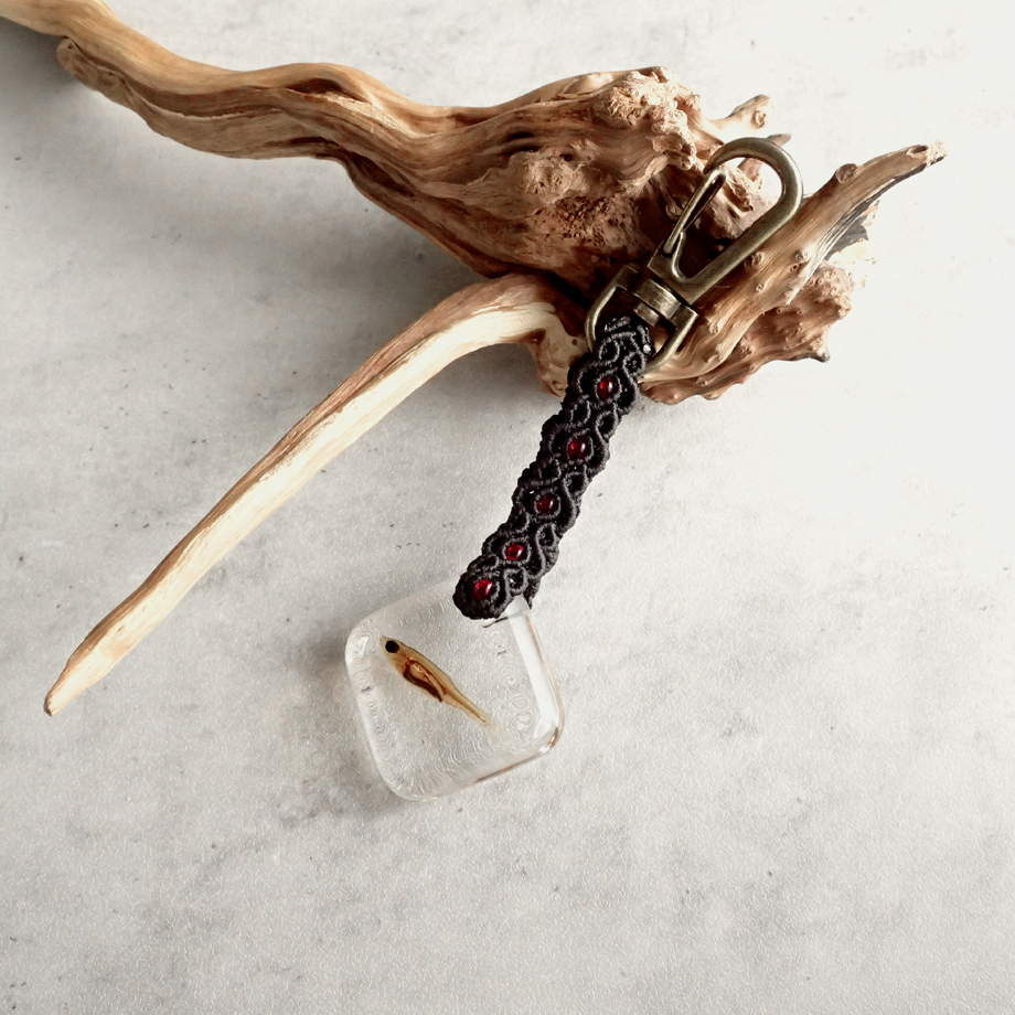 魚類樹脂封入標本キーホルダー | Atelier BIOTA