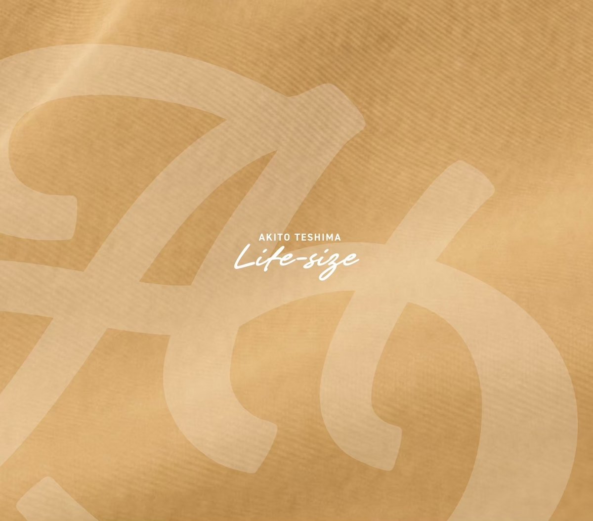 手島章斗　タオル　まとめ売り 手島章斗 タオル まとめ売り