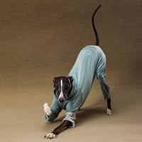 GASU Moi / Imported Lyocell Breathable Light Soft Sleepwear[Cold Bay Blue]