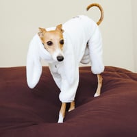 GASU Moi / [5 Colors] Detachable Bunny Ears Strong Conductive Fibers Jumpsuit [White]