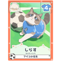 しらす【センターバック】