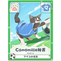 Camomille秘書【フォワード】
