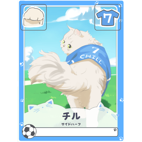 チル【右サイドハーフ】
