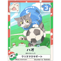 ハオ【左サイドバック】【クリスマス限定カード】