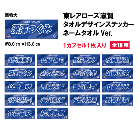 東レアローズ女子、下敷きセット CATEGORY WOMEN | TORAY ARROWS