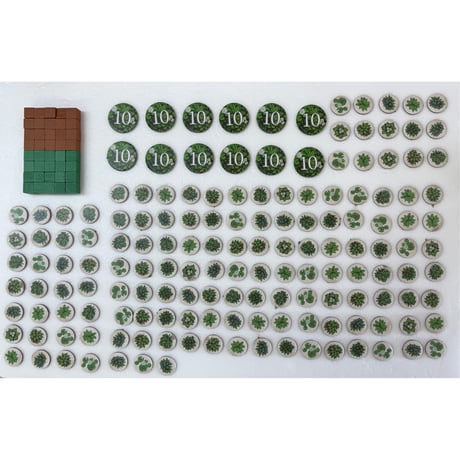 【中古商品】エヴォリューション 完全日本語版 (Evolution)