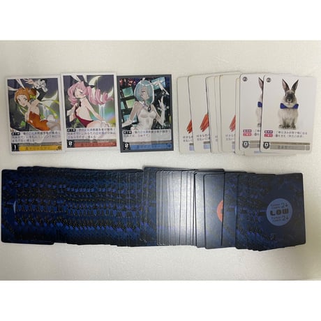 【中古商品】スーパーバニーカンパニー