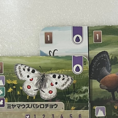 【中古商品】拡張セット売り：『フォレストシャッフル 日本語版 (Forest Shuffle)』『フォレストシャッフル： アルプス 日本語版 (Forest Shuffle： Alps)』