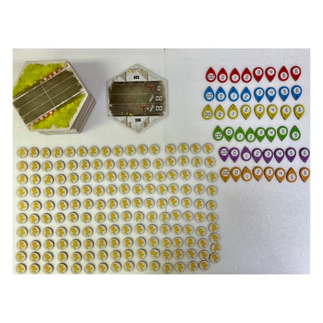 【中古商品】ラリーマン：GT (Rallyman： GT)
