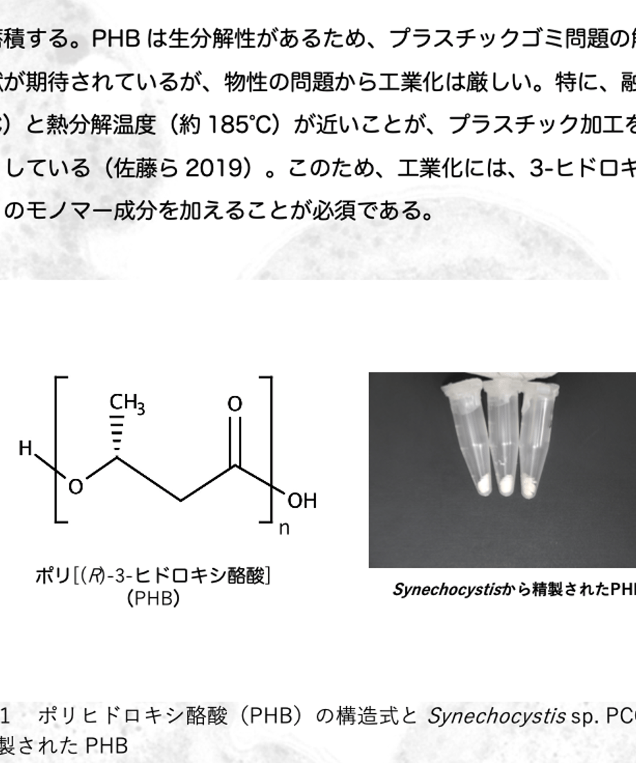 63493cdac15c5a519487b478