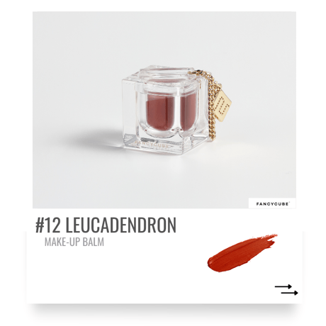 【Make-up Balm】#12 LEUCADENDRON