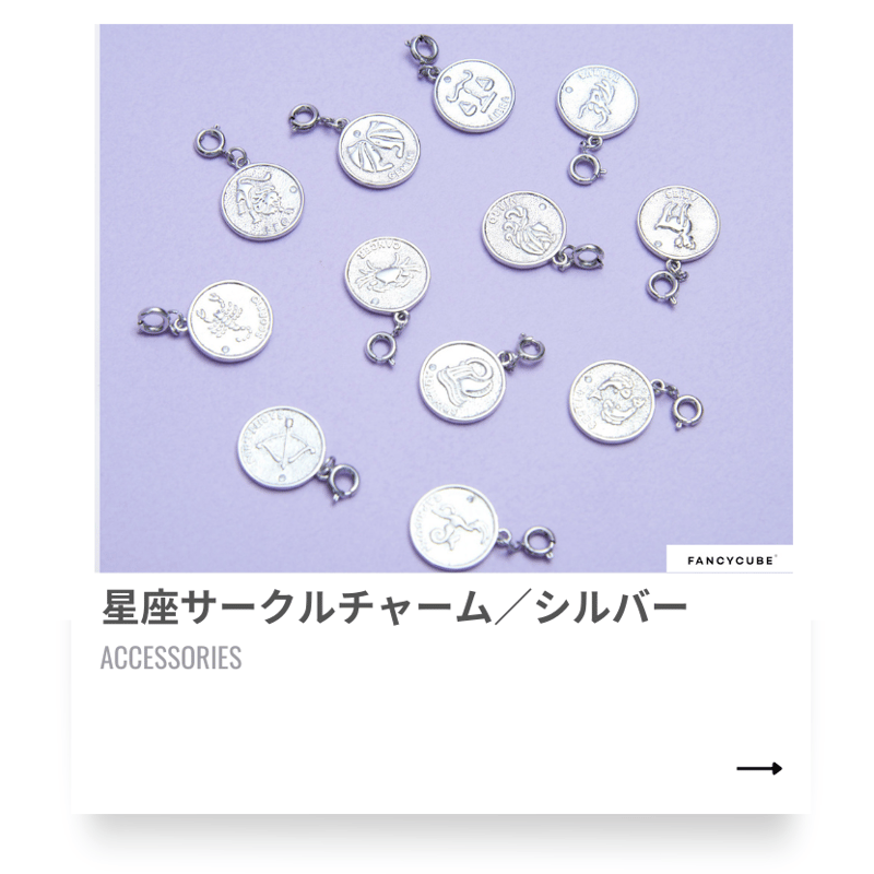 星座サークルチャーム／シルバー | FANCYCUBE