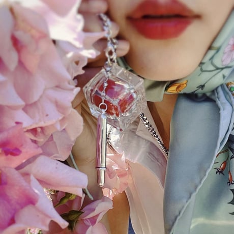 【accessories 】LIP BRUSH