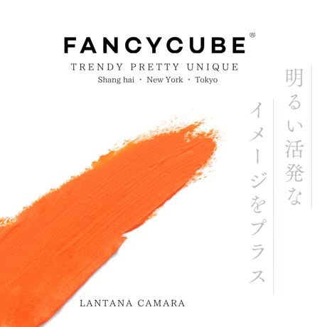 【Make-up Balm】#09 LANTANA CAMARA with GOLD LIP BRUSH