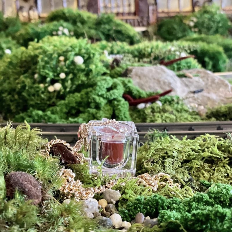 Make-up Balm】#12 LEUCADENDRON with SILVER LIP